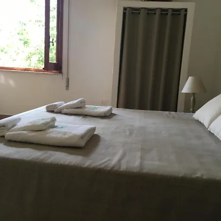 Zagara 4*